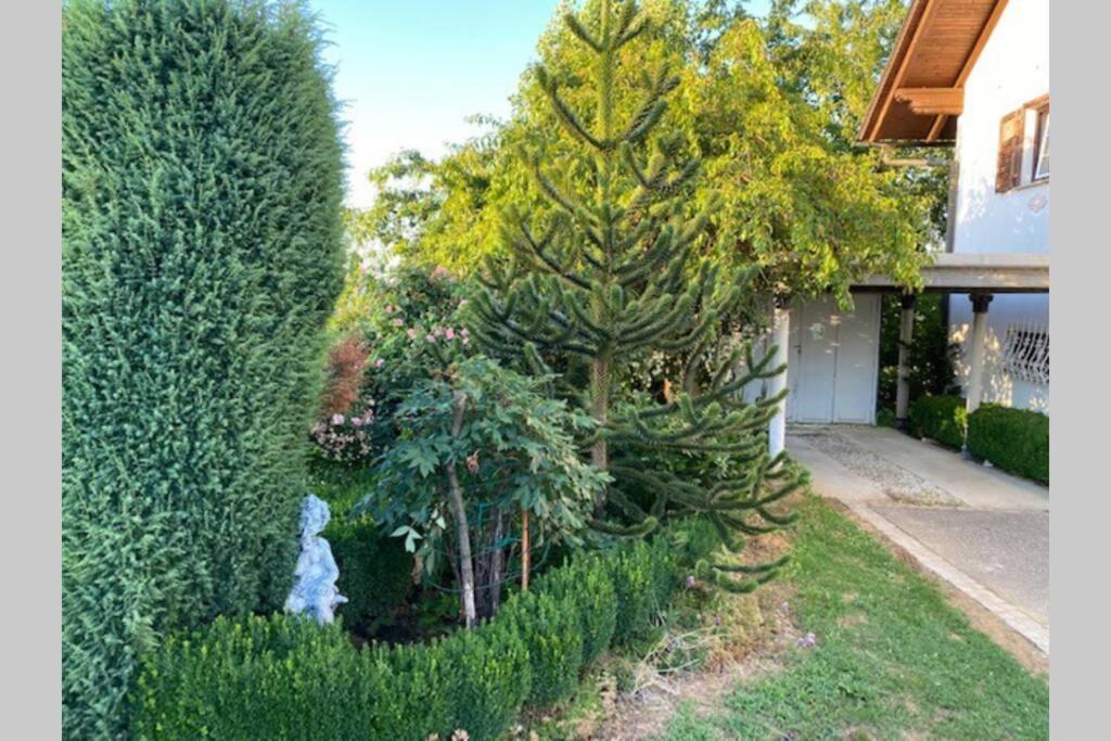 Sveti Jurij ob Scavnici Apartma Jozica In Toncek מראה חיצוני תמונה